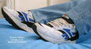 sisneak07-02.jpg (44450 bytes)